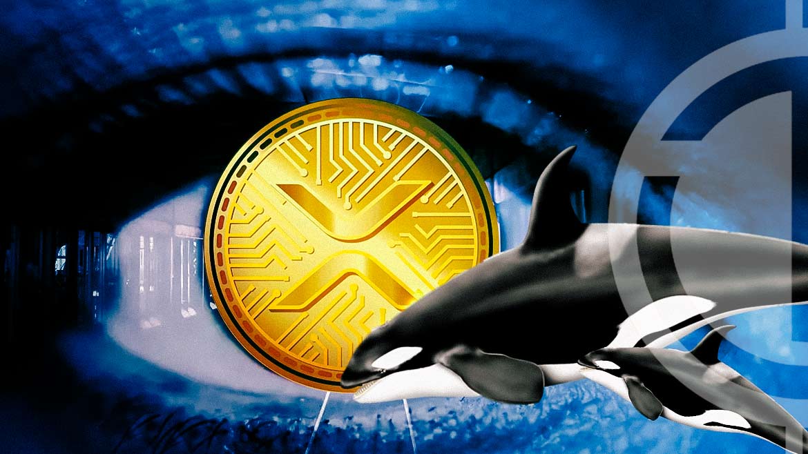 Big Wallet Investors are Eyeing XRP’s Potential Comeback Amid SEC Lawsuit