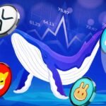 Analyst Spots Surging Activity in SHIB, SAND, CAKE, and XRP