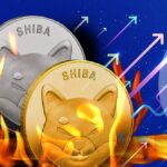 Shiba Inu's Burn Rate Skyrockets by 1000% Amid Shibarium Buzz