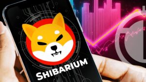 Shibarium RPC Node Sets New 7 Million Request Record