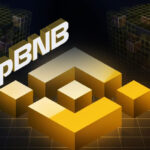 opBNB Mainnet Launches: BNB Smart Chain's Breakthrough Layer 2 Solution