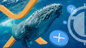 Whales Transfer 14.8 Million USD Worth of XRP to Exchanges: Is a Dump Coming?