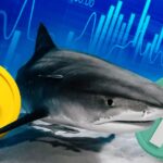 Bitcoin Whales Amass Wealth Amidst Potential Market Correction Forecasts