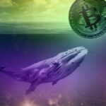 Whales in Retreat: Bitcoin's Major Holders Dip to 55.5%