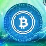 Bitcoin Whales Defy Market Correction, Fueling Crypto Enthusiasm