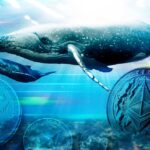 Ethereum's Battle at $1,600 Resistance: Whales Remain Resolute