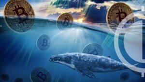 Bitcoin Whales Resurface Making Massive Movements in the Crypto Ocean
