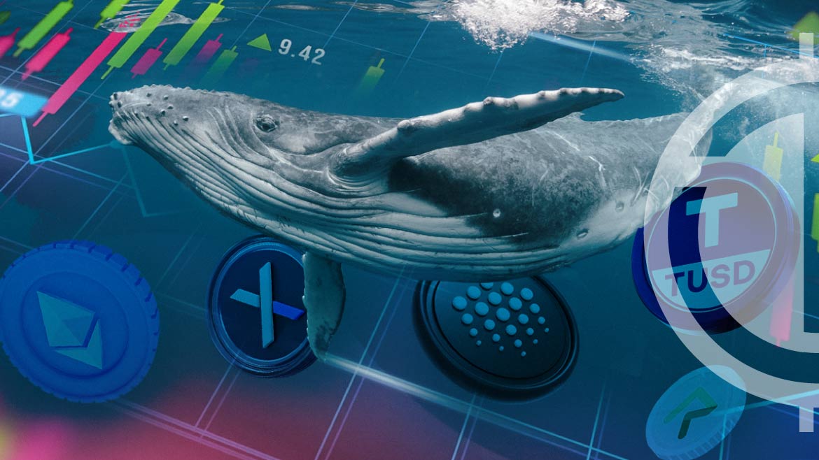 DYDX, OCEAN, TUSD, REQ Witness Major Spike in Whale Transactions