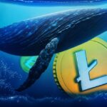 Litecoin Soars as Onchain Activity and Whales Make a Comeback