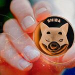 Crypto Turbulence: SHIB Navigates Shifting Global Sentiment