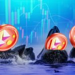 Decentraland's Whales on the Move: A Signal of Market Confidence