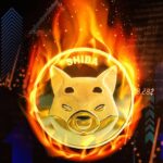Massive 1146.71% Increase in SHIB Token Burn Rate Shakes Crypto Market
