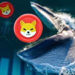 Shiba Inu (SHIB) Witnesses Unprecedented Whale Activity in 24-Hour Surge