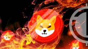 Shiba Inu Token Burn Surge Sparks Interest Amidst Crypto Community
