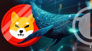 Massive Shiba Inu Token Transfer Sparks Excitement and Speculation