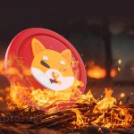 Shiba Inu's Burning Rate Skyrockets by 456%, SHIB Aims for New Heights