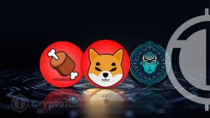 Unveiling the True Potential of SHIB Ecosystem Coins Amid Market Fluctuations