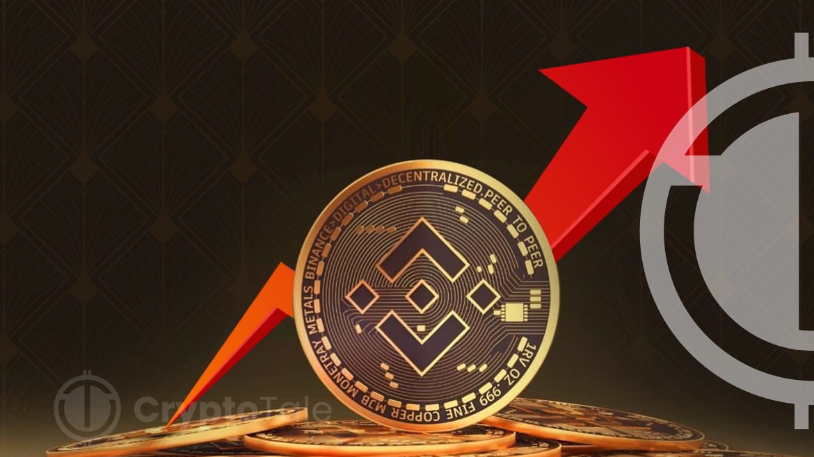 Binance Coin (BNB) Shows Strength with Potential $310 Target