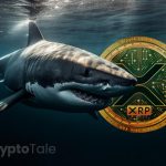 XRP's Price Nears $0.63 as Whales Mobilize Massive Token Transfers