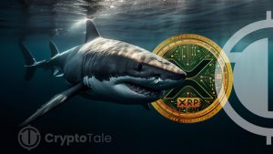 XRP’s Price Nears $0.63 as Whales Mobilize Massive Token Transfers