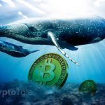 Bitcoin Whales on the Rise Amid Price Adjustments