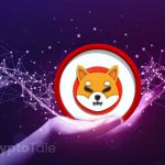 Shiba Inu’s Alliance with D3 Global Bridges the Gap Between Web2 and Web3