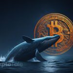 Bitcoin Whales' Actions Point to Positive Market Outlook: Report