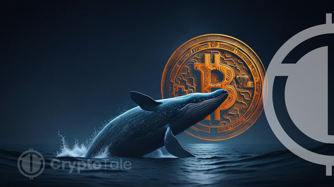 Bitcoin Whales’ Actions Point to Positive Market Outlook: Report