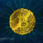 Analyst Examines BTC Halving Hype, Dismisses Anticipations of its Long-Term Impact