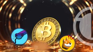 BONK and SNEK Surge While Bitcoin Shows a Potential Growth to $80K