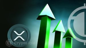 XRP’s Resilience: Riding High Amidst Market Trends & Whale Activities
