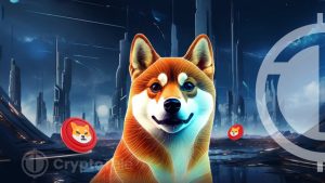 Shiba Inu Witnesses Notable Burn Rate Fluctuations Amid DNS Entry
