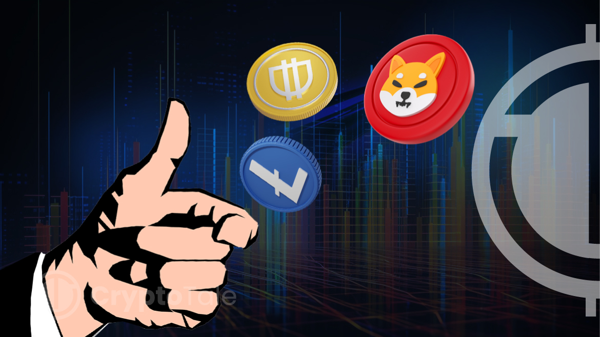 Shiba Inu Surges 13%, Overtakes Litecoin and Dai in Crypto Rankings