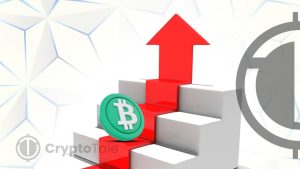 Bitcoin Cash Price Poised for Bullish Breakout Amidst Whales’ Accumulation