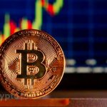 BTC ETF Marketing Wars Unfold as BTC Shows Resilience in Market Fluctuations