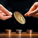 Bitcoin Hodlers' Balance Signals Accumulation Phase in Market Cycles