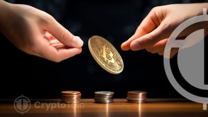 Bitcoin Hodlers’ Balance Signals Accumulation Phase in Market Cycles
