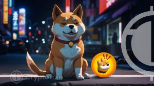 Bonk Inu’s Meteoric Rise: Decrypting the Rally of the Canine-Themed Token