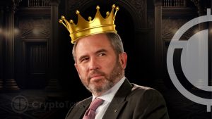 Ripple CEO Celebrates Ripple’s Victory Against SEC at “The Proper Party”