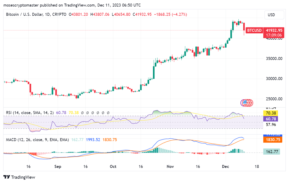 Bitcoin’s 7 Weeks’ Bullish Momentum Reveals Market Resilience