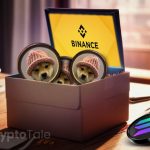 Solana Buzz: WIF Token Surge & $8.65M Investment Amid Binance's Perpetual Launch