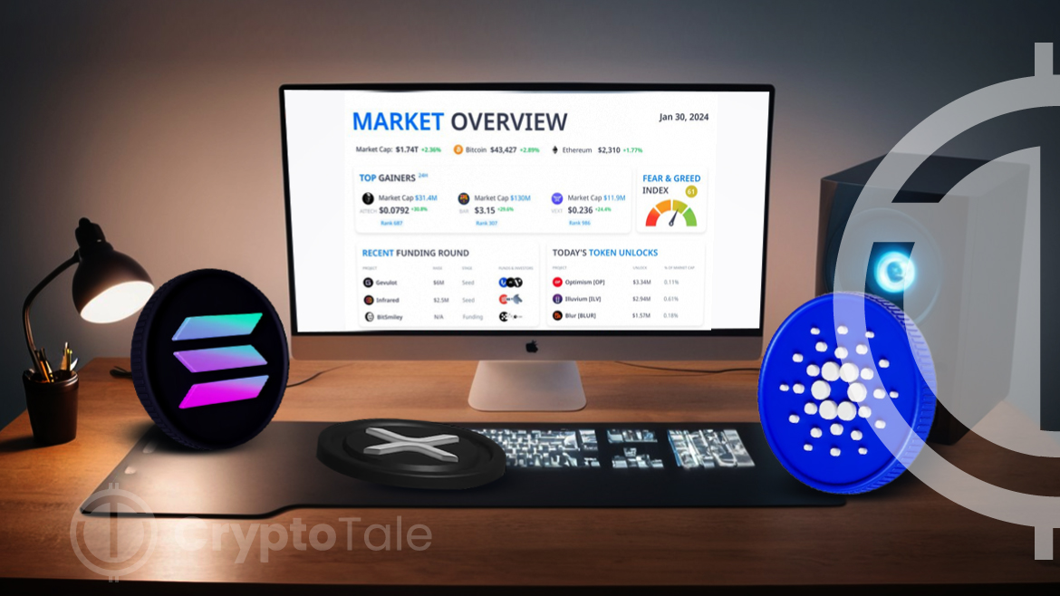 Report Unveils Market Insights: BTC Surpasses $43K Mark, Altcoins Shines in Green