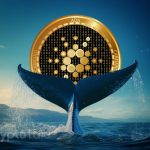 Cardano's Resilient Whales Point to Potential 30% Price Recovery