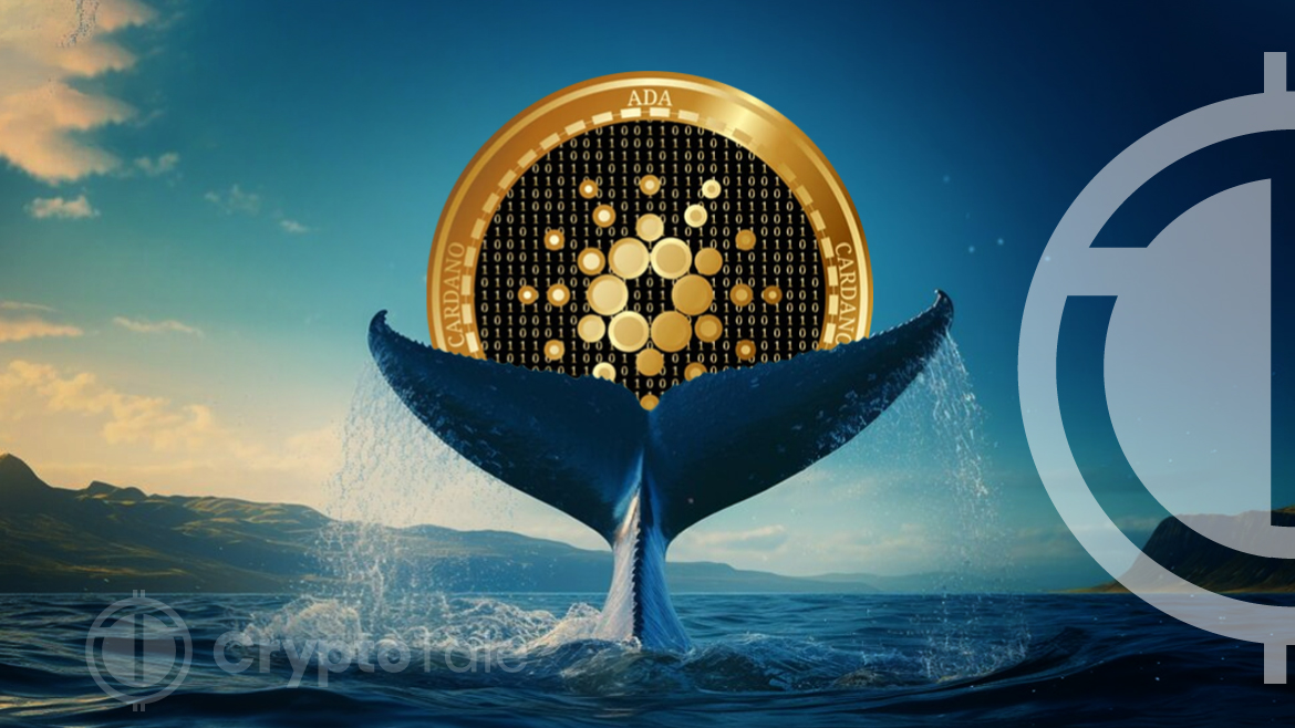 Cardano’s Resilient Whales Point to Potential 30% Price Recovery