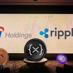 SBI Holdings and Ripple Forge Path for NFTs on the XRP Ledger
