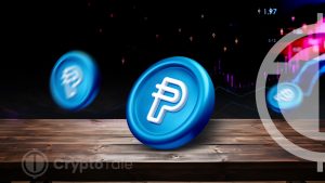 PayPal’s Stablecoin Rises with Impressive Transaction Averages