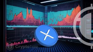 Expert Analysis Highlights XRP’s Volatility and Market Insights