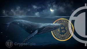 Bitcoin’s Value Dips to $43.7k Amidst Surge in Whale Activity – Turning Point Ahead?