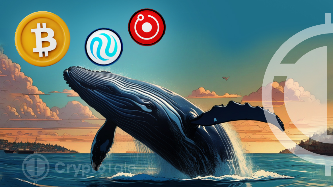 Massive Whale Transactions and Dormant Bitcoin Movement Spark Market Buzz