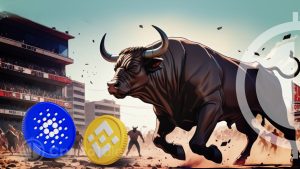 Crypto Bull Run: ADA and BNB Show Strong Performance in 2024